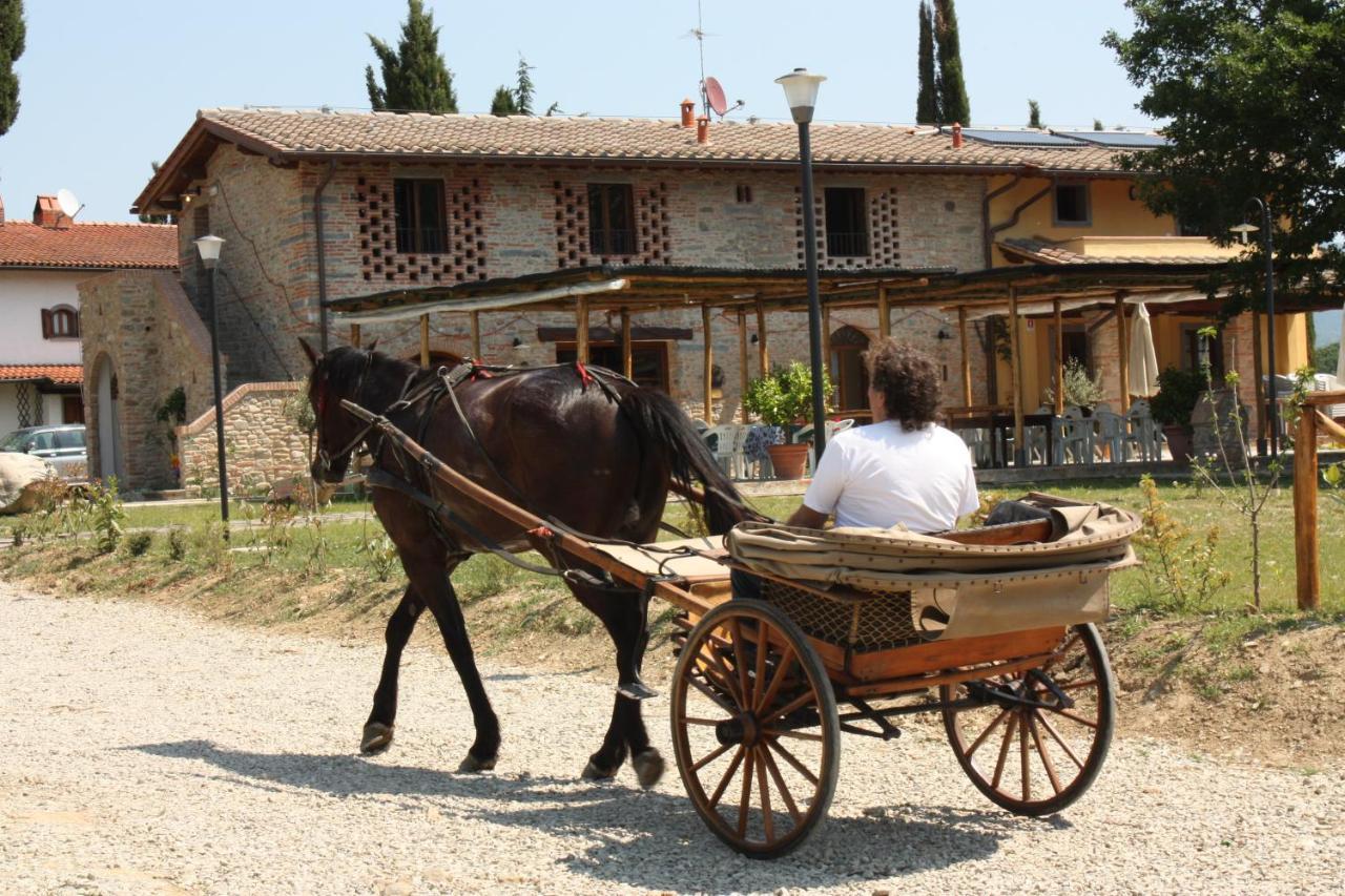 Agriturismo La Colombaia Vicchio Exterior photo
