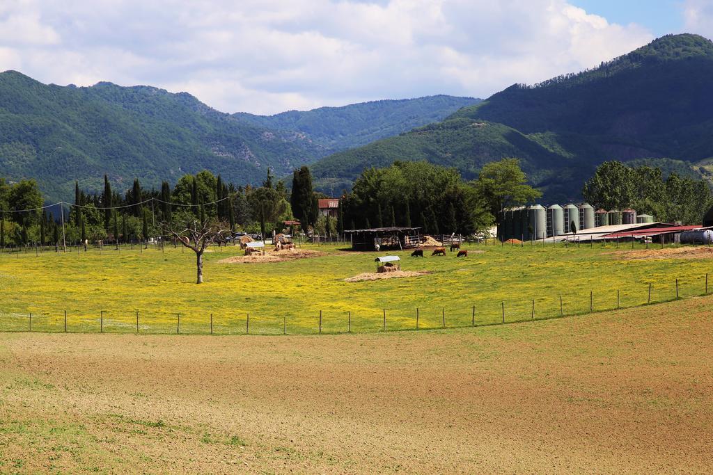 Agriturismo La Colombaia Vicchio Exterior photo